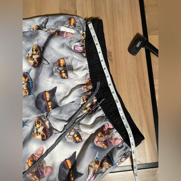 Cats with sun glasses shorts - Picture 2 of 5